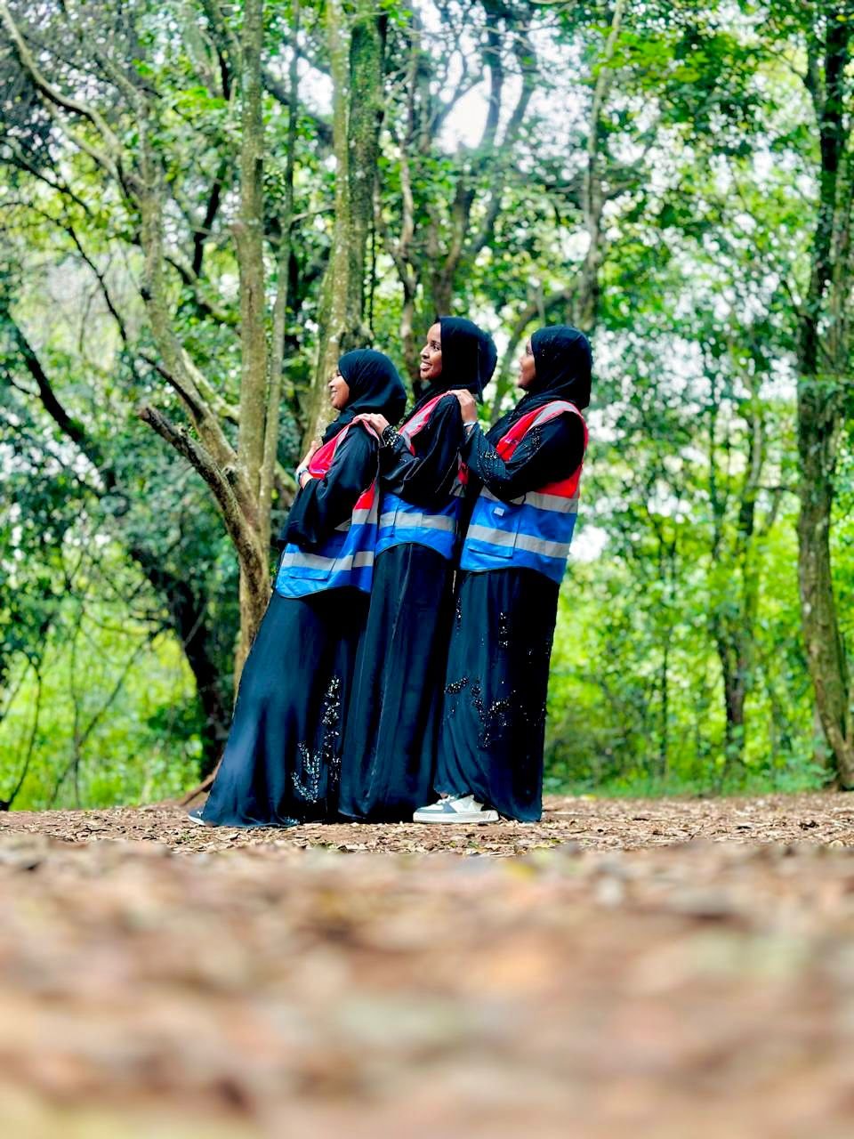 Mental Health Activities